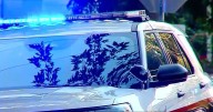 Sangamon Co. Sheriff releases new details in Springfield triple homicide