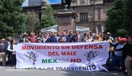 Necesario defender el maíz nativo como patrimonio cultural y alimentario: Pliego Santana