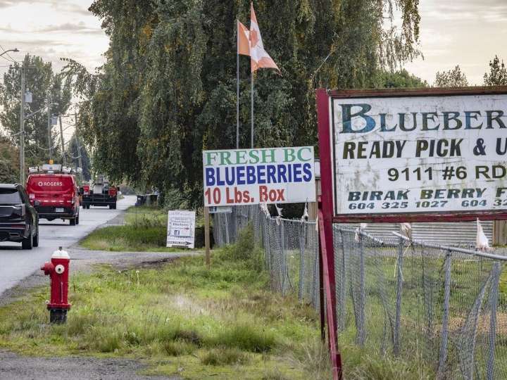 'It's scary': Uncertainty hangs over Richmond property owners after Cowichan Tribes court ruling