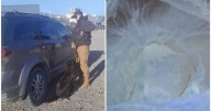 Llevaba cocaína en el auto y trató de huir: debieron pedir refuerzos para detenerlo