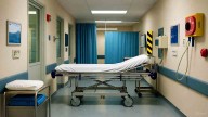 Niña de 5 años fue picada por un escorpión oculto en una toalla en Lara