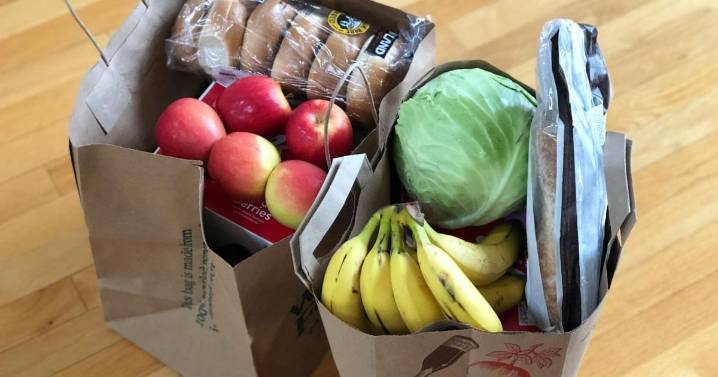 Utah SNAP benefits halted amid government shutdown; WIC operations continue
