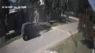 Agresión a un perro en Sauce Viejo: el video se viralizó y una figura del espectáculo denunció el hecho