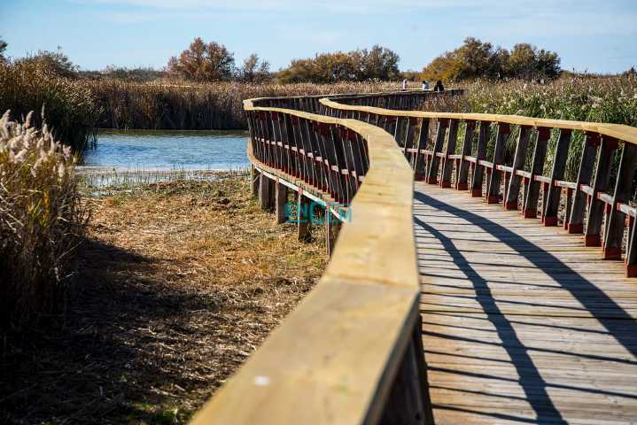 El plan para la recuperación de las Tablas de Daimiel «está muy despierto» y entra en fase avanzada de elaboración