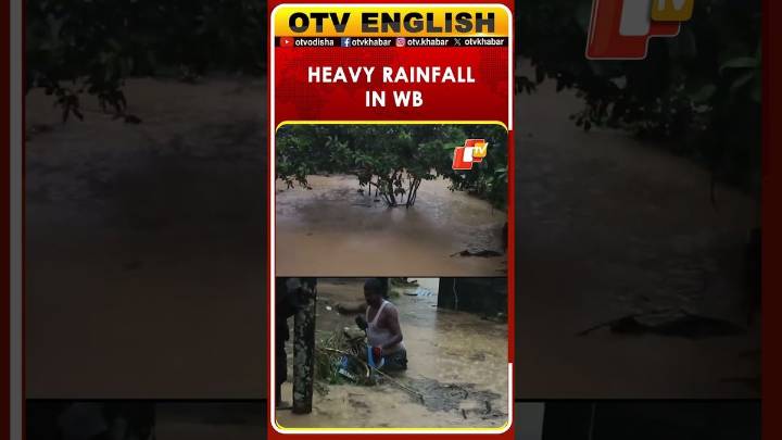 West Bengal | Heavy Rainfall Causes A Flood Situation In Nagrakata, Jalpaiguri.
