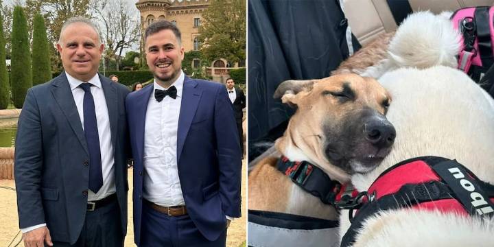 Dos rescatistas se casarán y sus perros serán testigos de la boda: firmarán el acta con tinta en las patitas