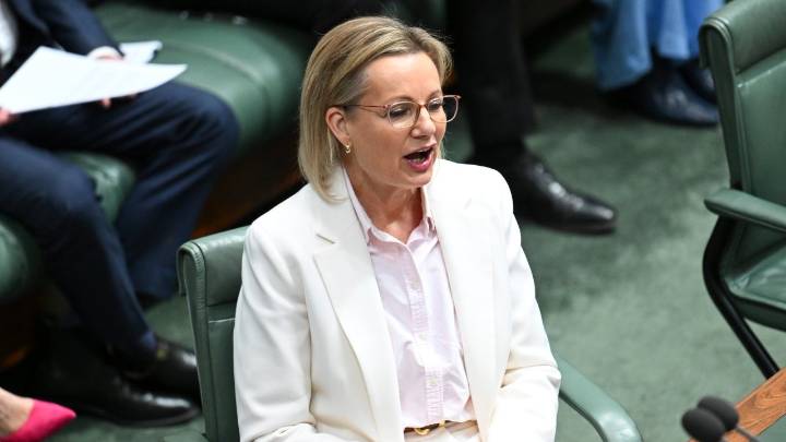 'No fear': Opposition Leader Sussan Ley faces leadership spill in next 12 months, as party split over net zero energy policy