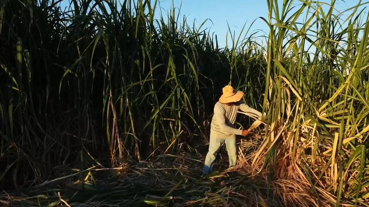 Researchers map heat to protect farmworkers
