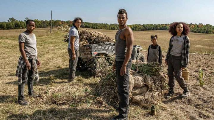 7 New Movies to Watch This Weekend on Netflix, Prime Video and More (October 17