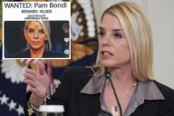 Man, 29, arrested for alleged Pam Bondi murder