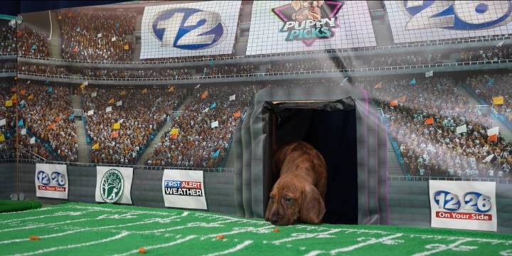 Puppy Picks: Week 11| North Augusta vs. Midland Valley