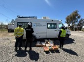 Decomisan más de 100 kilos de carne y grasa por irregularidades en Choele Choel