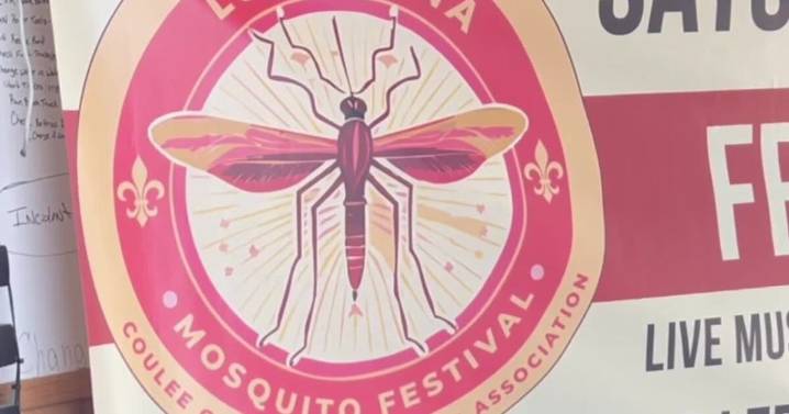 First mosquito festival buzzes into Cankton to support local firefighters