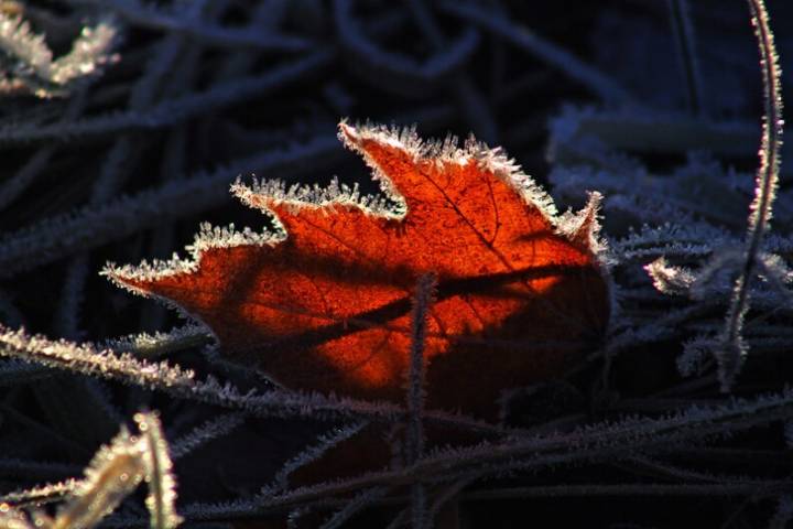 It’s warm in Louisville now, but frosty conditions will be here soon enough