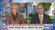 Fox Host Grills Kevin Hassett Over AI