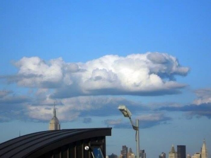 47 Times People Experienced A Serious Case Of Pareidolia In The Most Unusual Spots (New Pics)