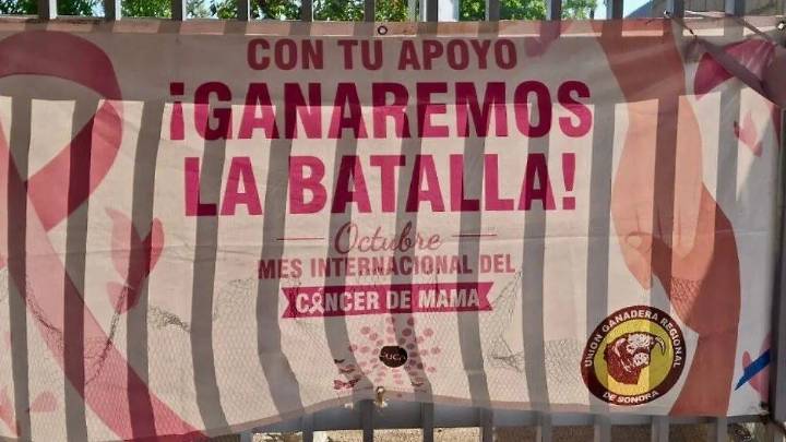 Realizan Cucas tendedero de sostenes y charla informativa sobre el cáncer de mama