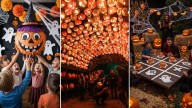 Halloween 2025 events in Pune: Parties, family fun, and spooky dining experiences