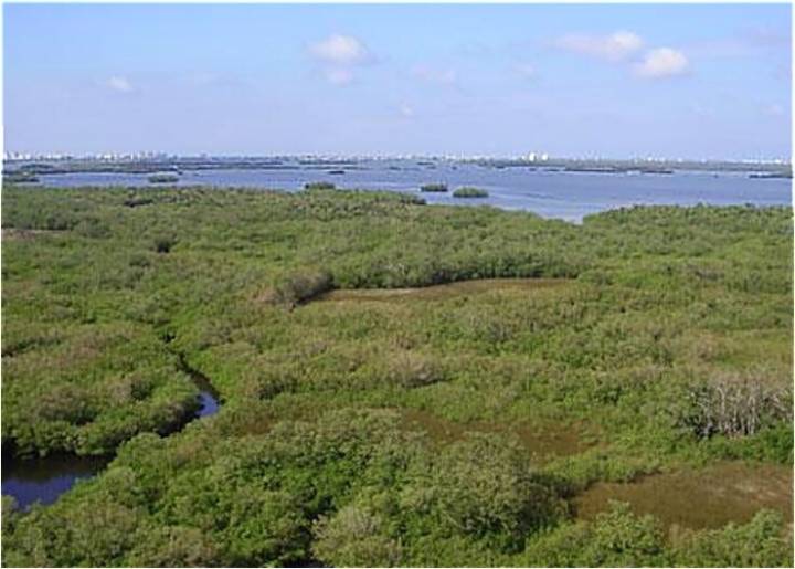 Engage Estero to discuss climate change's potential effects on the village in public forum