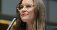Ivory tower MPs told to be authentic or be ignored