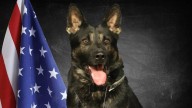 Haltom City honors K9 Ghost's legacy and service