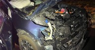 One person injured as moose is hit twice on Route 101