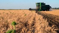 Alerta: el ingreso de dólares del agro podría desplomarse un 80%