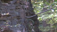 ODNR to fill in 'dangerous' abandoned strip mine in Austintown