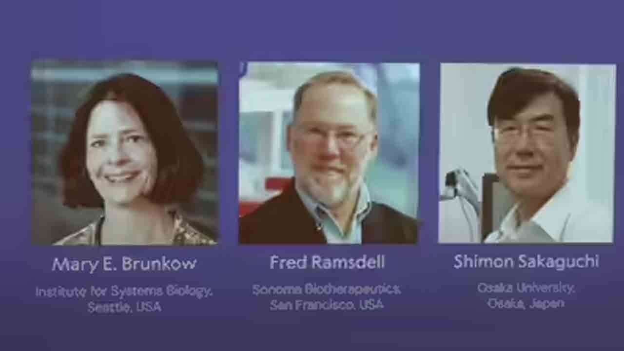 Nobel 2025: Three Awarded In Medicine