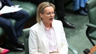 'No fear': Opposition Leader Sussan Ley faces leadership spill in next 12 months, as party split over net zero energy policy