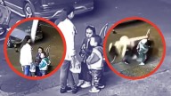 Mujer y sus dos hijos terminan en el suelo tras la caída de una ventana; las BRUTALES imágenes se hacen virales