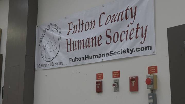 Fulton County animal shelter reminding residents: spay, neuter, don’t dump