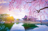 South Korea To Confiscate Crypto Cold Wallets If Taxes Aren’t Paid