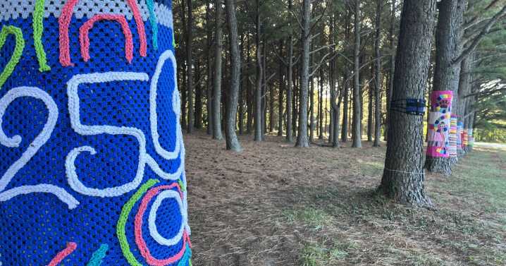 Unique display at Jacobson Park helps celebrate Tree Week