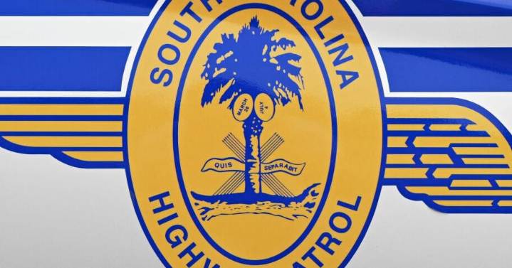 Pedestrian struck by SUV and killed near Chapin