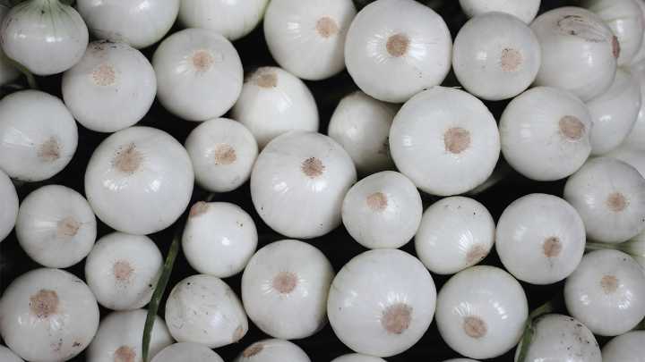 Productores de EU piden a Trump cobrar arancel de 4 dólares por bolsa a las cebollas mexicanas