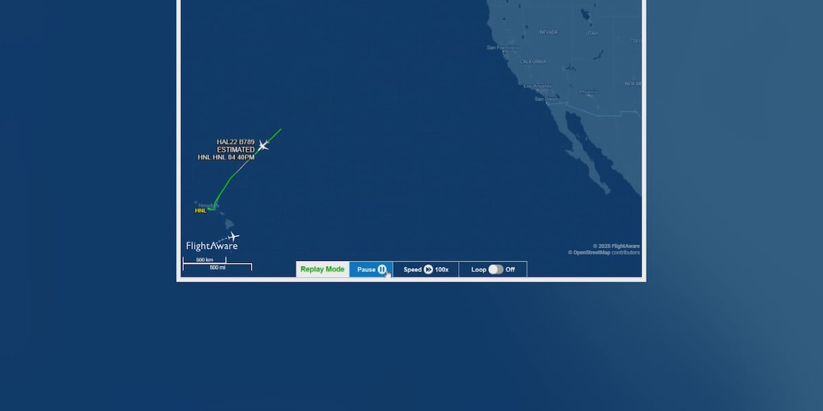 Unruly passenger forces Hawaiian Airlines flight to return to Oahu