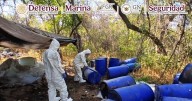 Decomisan más de 750 mdp en droga, precursores y desmantelan narcolaboratorio en Sinaloa
