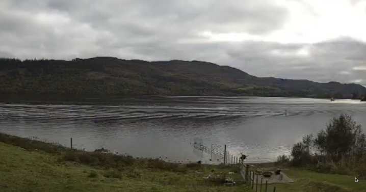 Loch Ness Monster sighting as shape that 'could only be Nessie' seen in water
