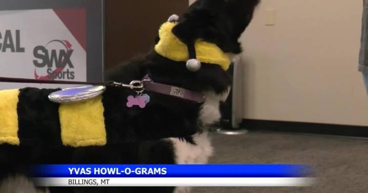 Yellowstone Valley Animal Shelter sends How