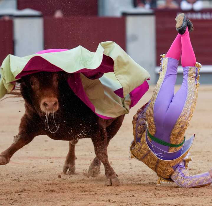 Morante: un adiós en grande