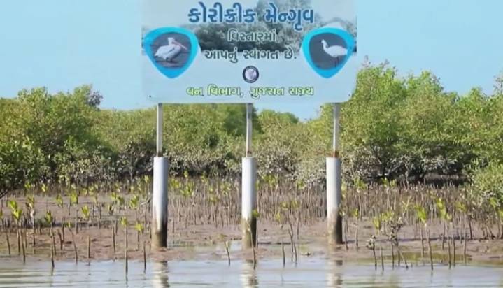 PM Modi Highlights Gujarat’s Environmental Efforts In ‘Mann Ki Baat’