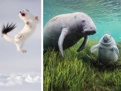 Celebran la belleza y la diversidad natural con exposición fotográfica