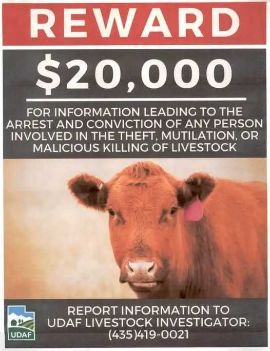 More Livestock Killings Reported In Duchesne County; Reward Offered
