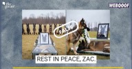 AI-Generated Clip Showing a Funeral for a Police Dog Shared as Real