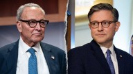 Johnson says Schumer handed Trump 'keys to the kingdom' with government shutdown decision