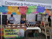 Municipios de Michoacán: el reto de pasar del impulso inicial al fortalecimiento del cooperativismo