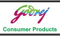 Godrej Group firm plans third debt sale in as many months, eyeing $230 million