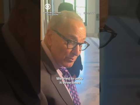 Schumer says GOP falsely claiming Dems want free health care for undocumented immigrants #shorts