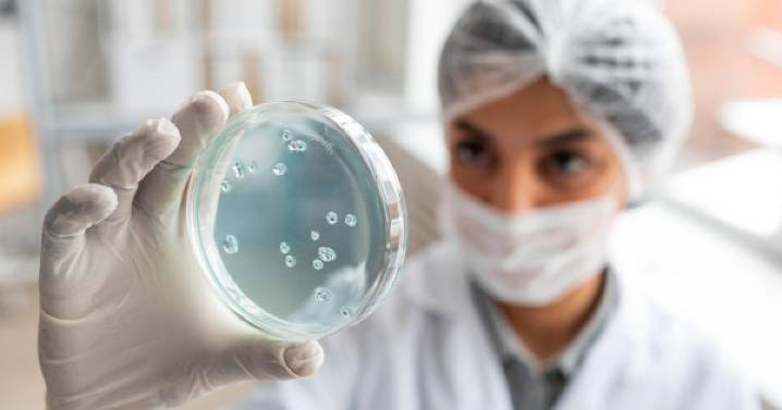 Esta razón ancestral impulsa la resistencia a medicamentos en bacterias y hongos: ¿por qué?